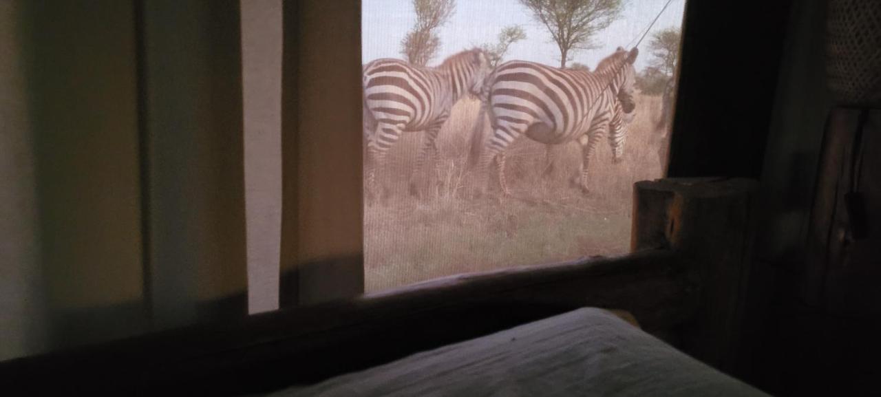 Zawadi Camp Hotel Serengeti Bagian luar foto