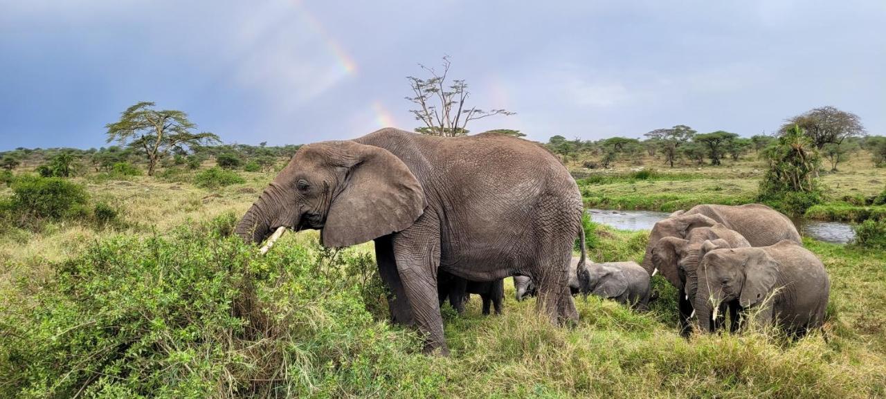 Zawadi Camp Hotel Serengeti Bagian luar foto