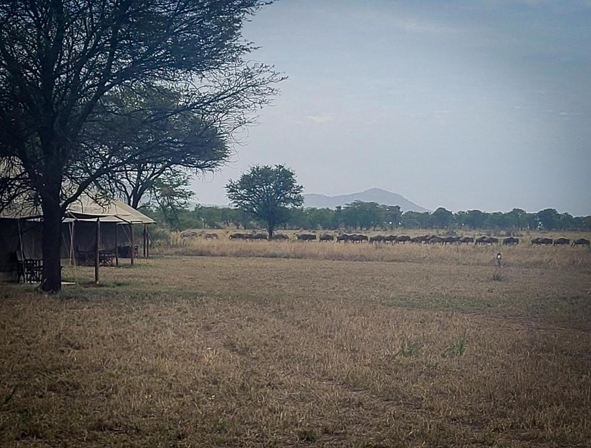 Zawadi Camp Hotel Serengeti Bagian luar foto