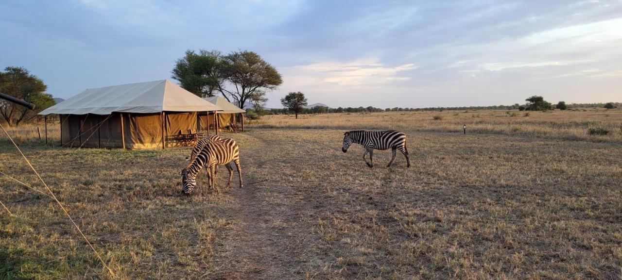 Zawadi Camp Hotel Serengeti Bagian luar foto