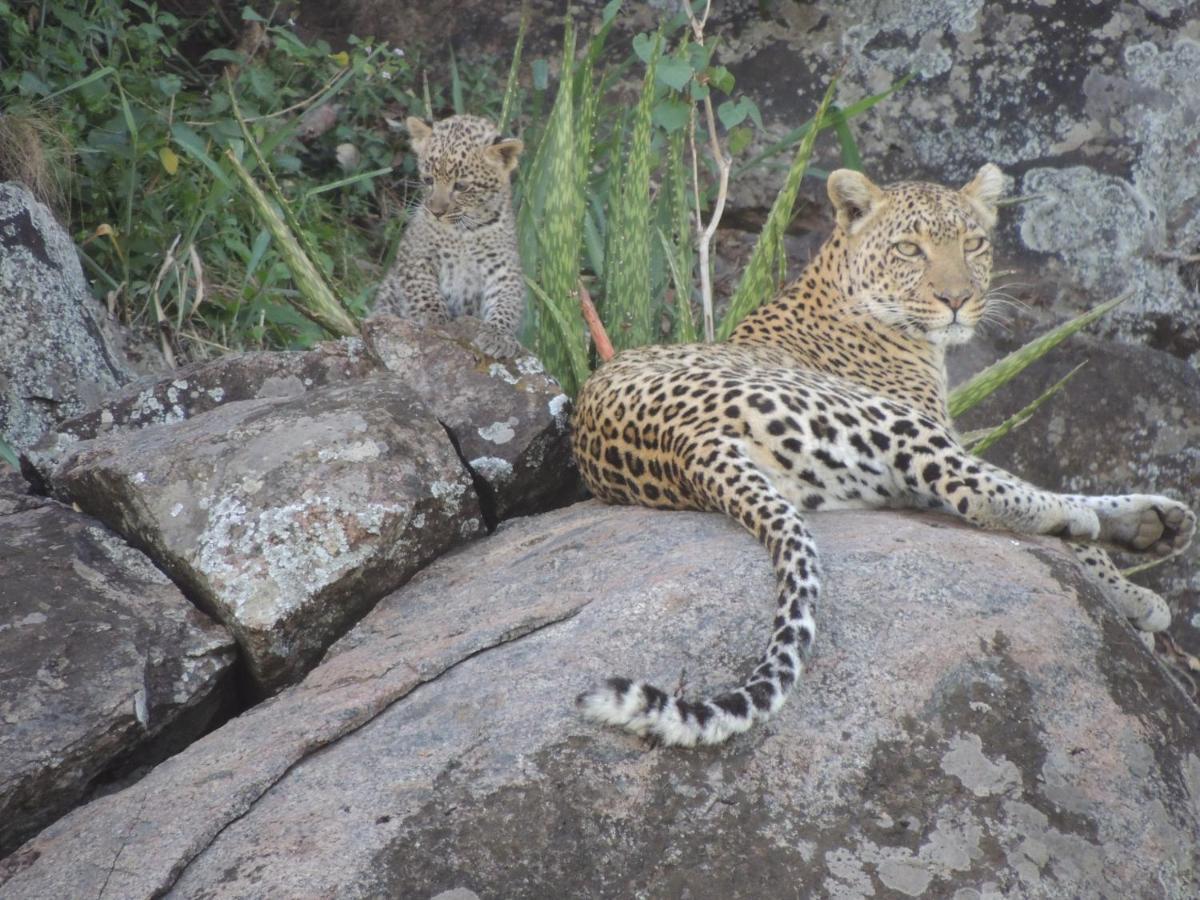 Zawadi Camp Hotel Serengeti Bagian luar foto