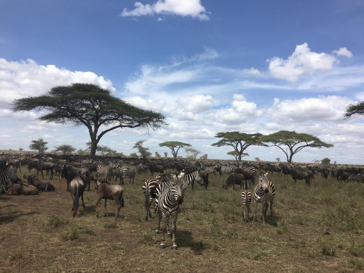 Zawadi Camp Hotel Serengeti Bagian luar foto